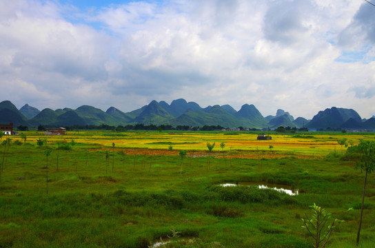 风景