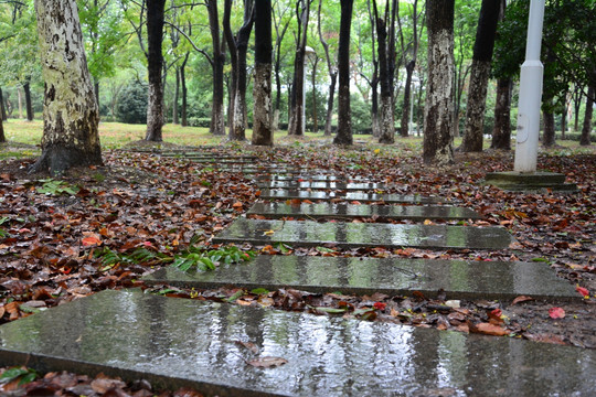 雨中石板路