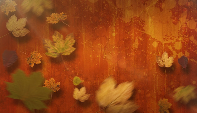 秋季叶防棕色油漆泼面