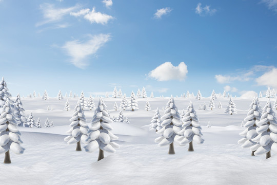 冬天的雪景