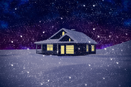 雪对冷杉树的雪景
