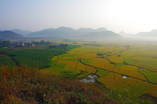 风景 秋景