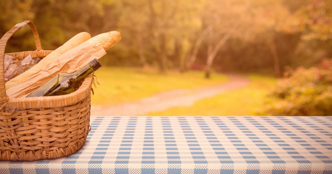 酒和法国面包的野餐