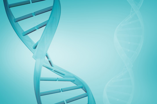 一对蓝色背景DNA螺旋的图像