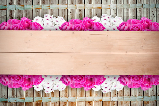 粉红色的花朵在木板上