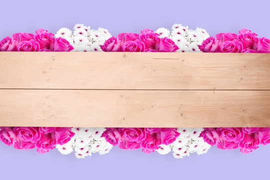 粉红色的花朵在木板上