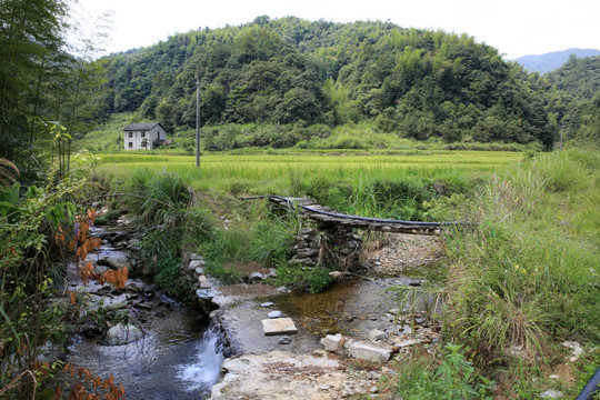 乡村风景