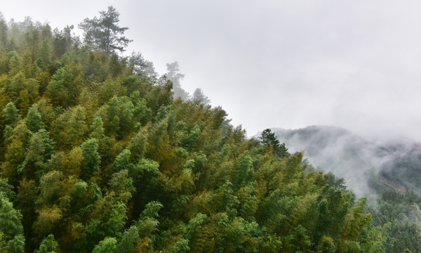 高山风光