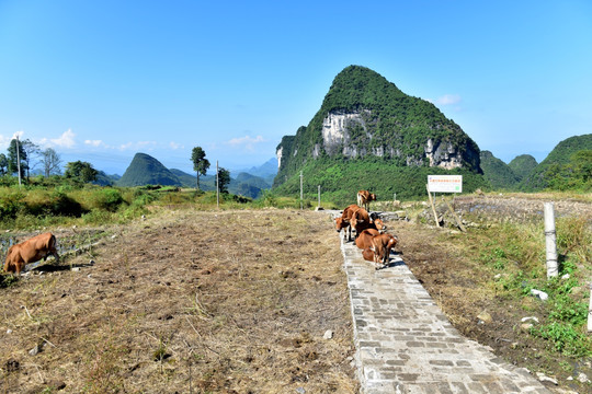 大山风光