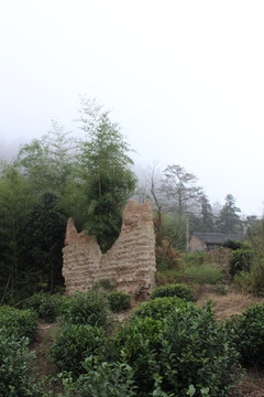 山村小屋 乡村风光 竹