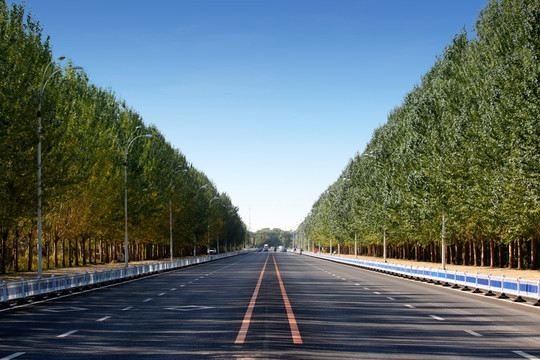 公路 道路 路灯 树木 城市道