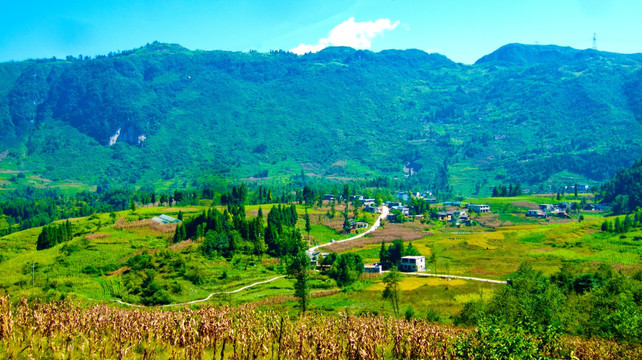 山村 大山