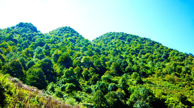 山峦 乳峰