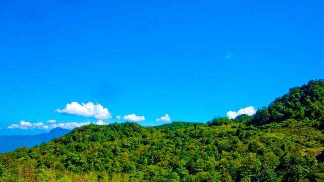 山岭 青山