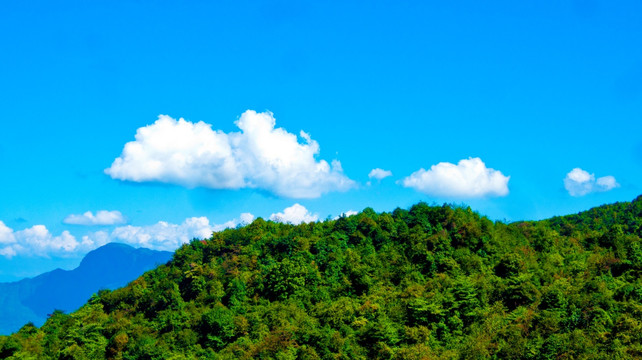 山岭 树林