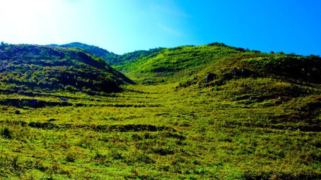 山地 山丘