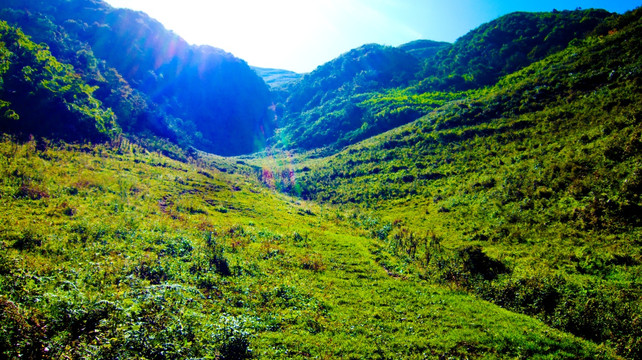 山顶 坡地