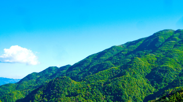 山林 山峦起伏