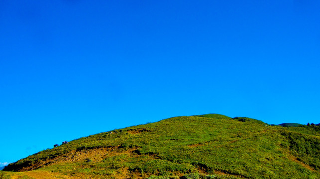 山顶 土丘