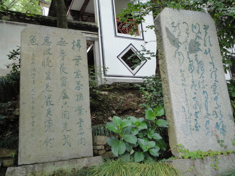 风景拍摄
