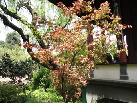风景拍摄