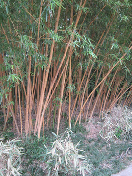 风景拍摄