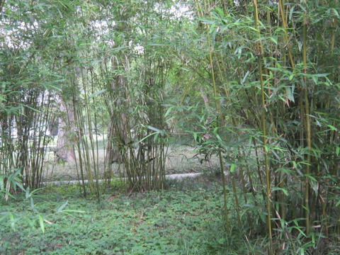 风景拍摄