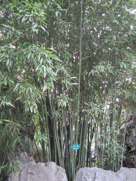 风景拍摄