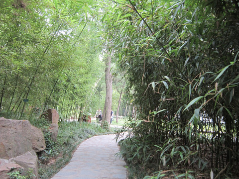 风景拍摄