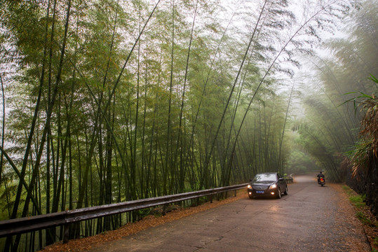 竹林公路