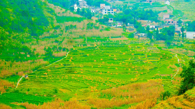 梯田 山地