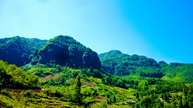 青山 大山