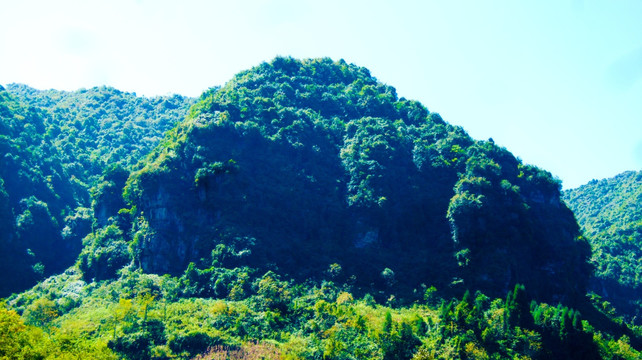 大山 青山