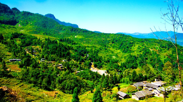青山 民居