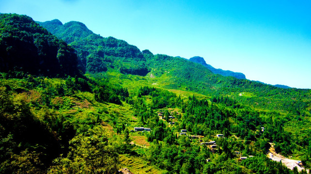青山 山村
