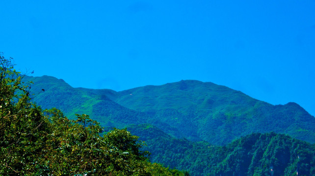 山岭 青山