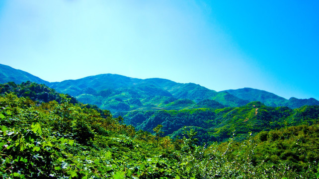 山岭 青山