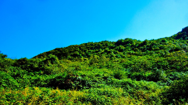 山地 山岭