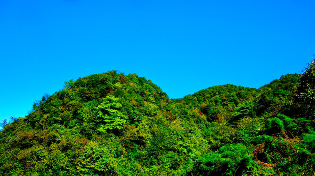 山丘 青山
