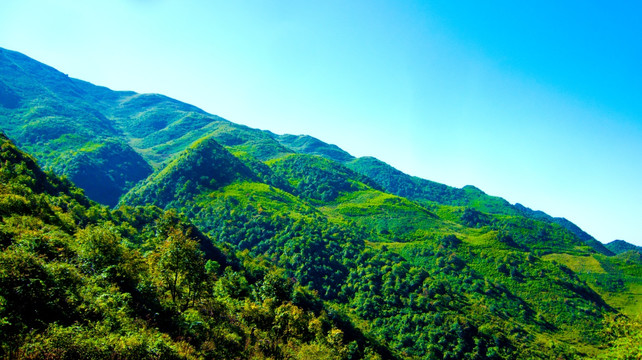 青山 山岭