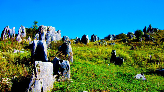 石林 山地