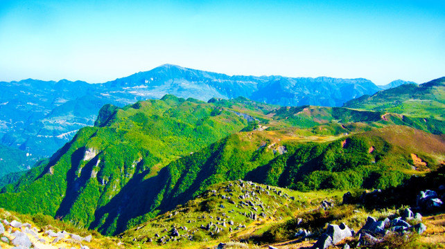 青山 大山