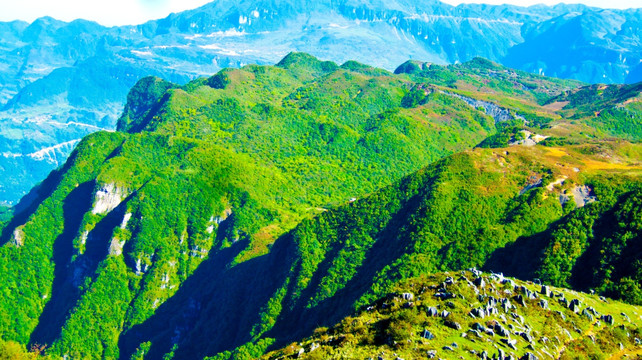 青山 大山