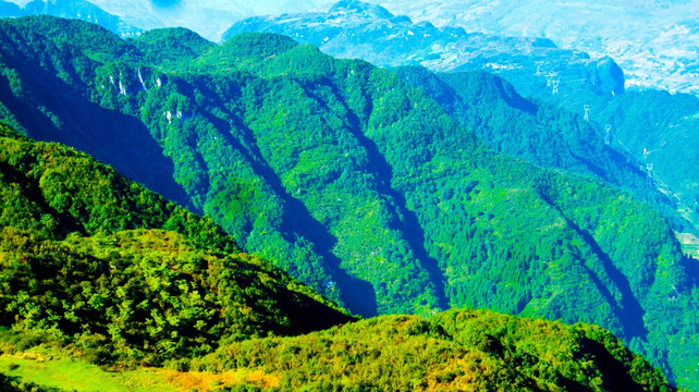 青山 山峦