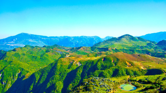青山 丘陵