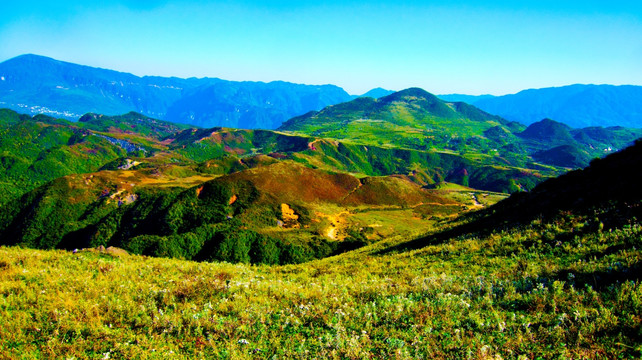 山地 丘陵