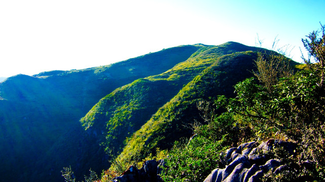 青山 高山