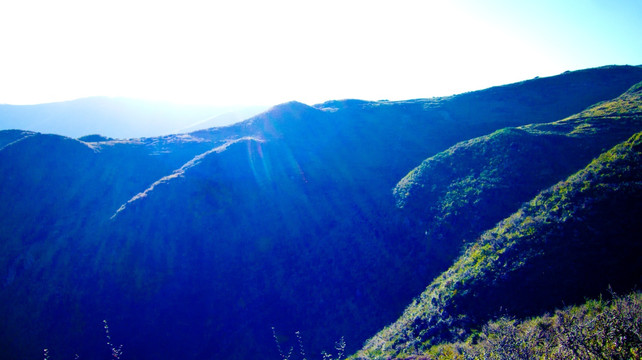 山冈 青山