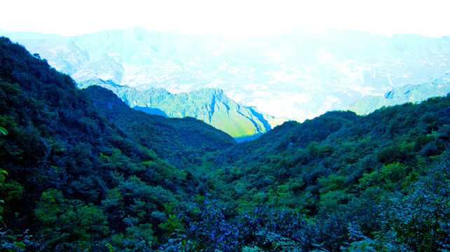 山野 青山