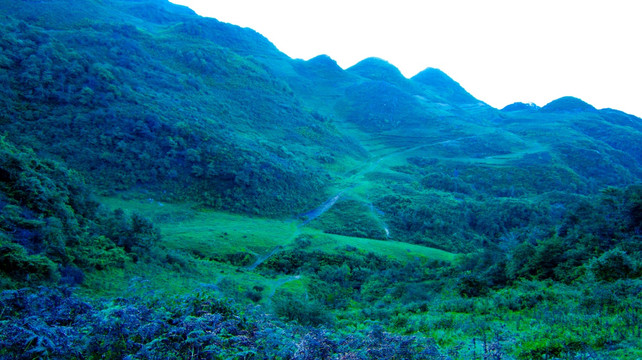 山地 山林